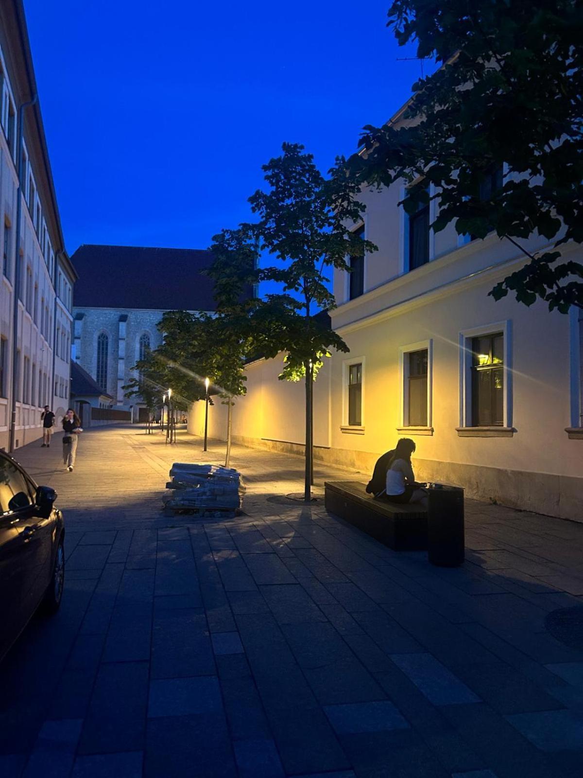 Strada Ion I. C. Bratianu Nr.24 Leilighet Cluj-Napoca Eksteriør bilde